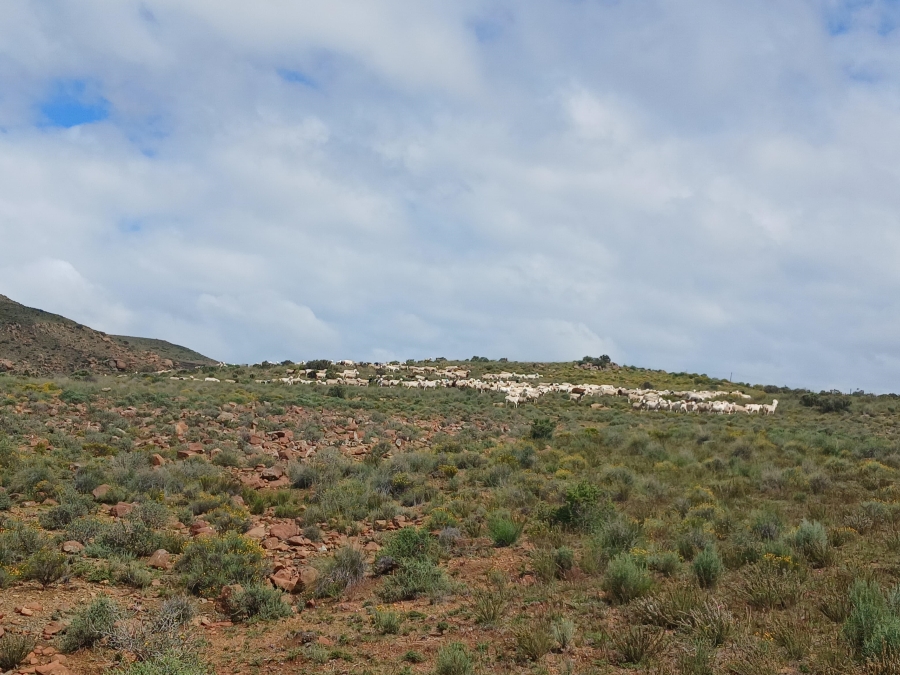 0 Bedroom Property for Sale in Richmond Rural Northern Cape